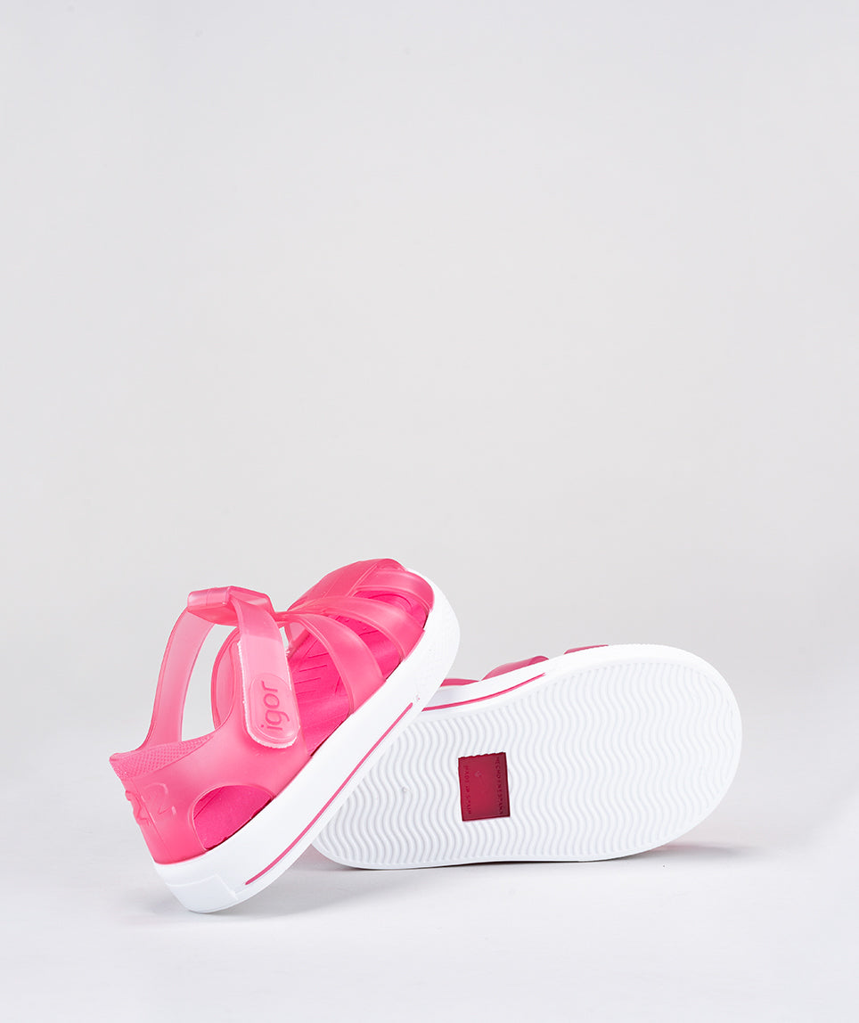 Star Fucsia - Igorperu